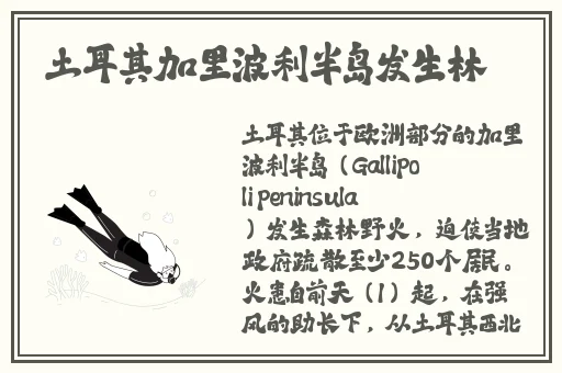 每走一步就深深的撞一下自己